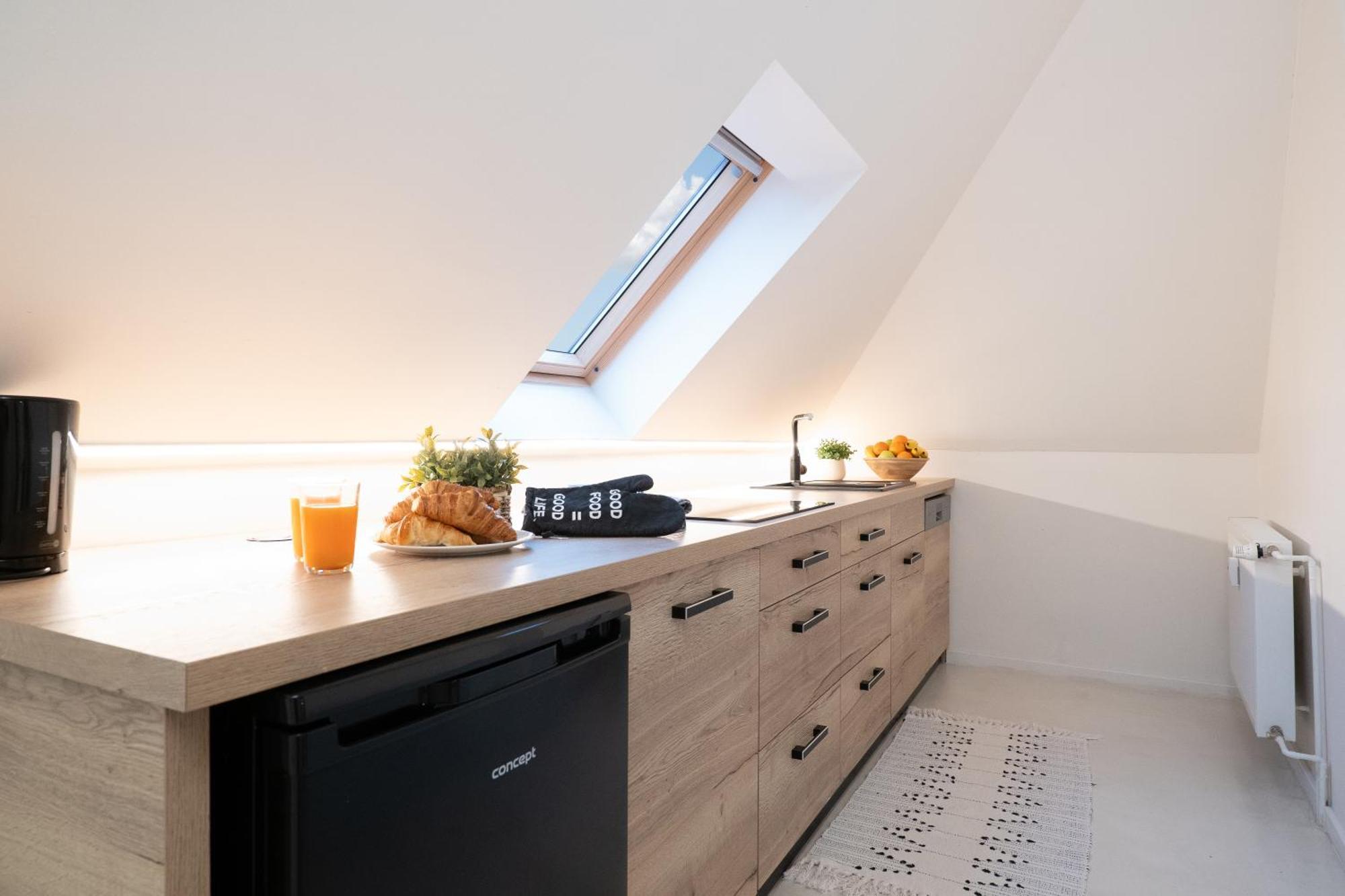 U Zlate Hvezdy, Karel IV Appartement Litoměřice Buitenkant foto